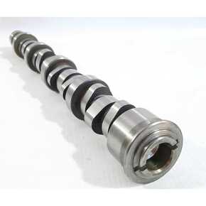 Nunc congue dui nec...