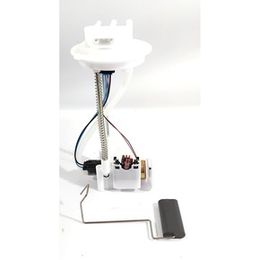 Nunc congue dui nec...