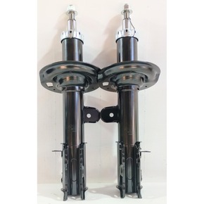 Nunc congue dui nec...