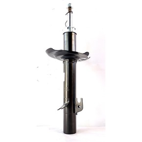 Nunc congue dui nec...