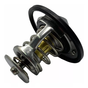 WINGLE 6 2.4 / TERMOSTATO