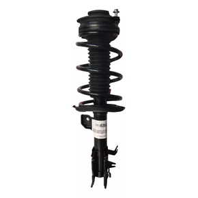 Nunc congue dui nec...