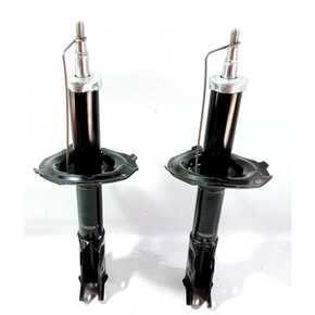 Nunc congue dui nec...