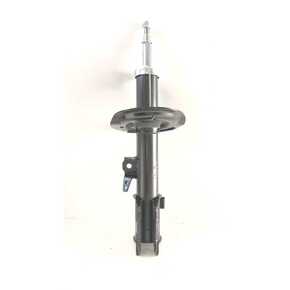 Nunc congue dui nec...