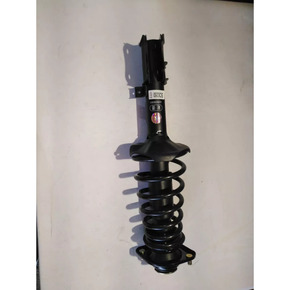 Nunc congue dui nec...