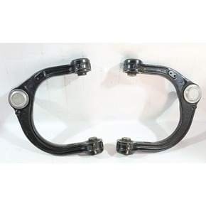 Nunc congue dui nec...