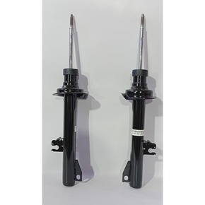 Nunc congue dui nec...