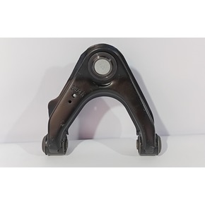 Nunc congue dui nec...