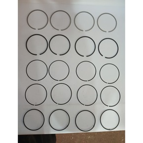 Nunc congue dui nec...