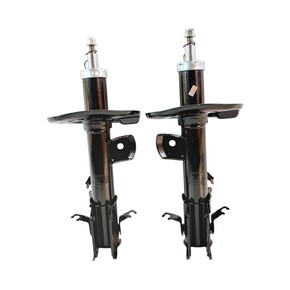 Nunc congue dui nec...