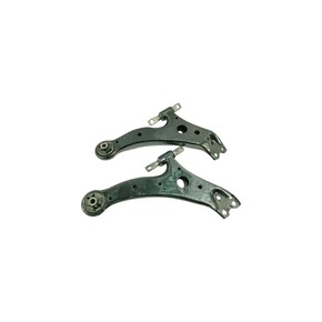 Nunc congue dui nec...