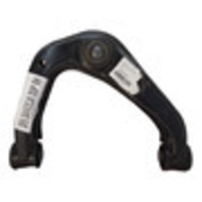 Nunc congue dui nec...