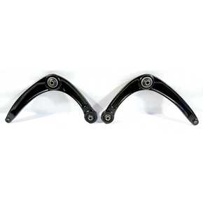 Nunc congue dui nec...