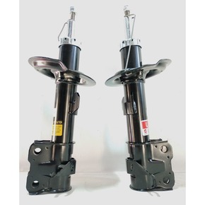 Nunc congue dui nec...