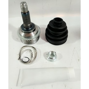 Nunc congue dui nec...