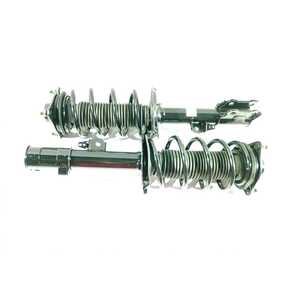 Nunc congue dui nec...