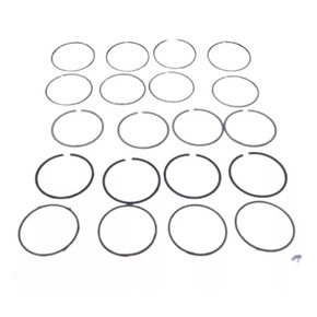 Nunc congue dui nec...