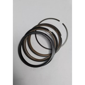 Nunc congue dui nec...