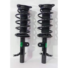 Nunc congue dui nec...