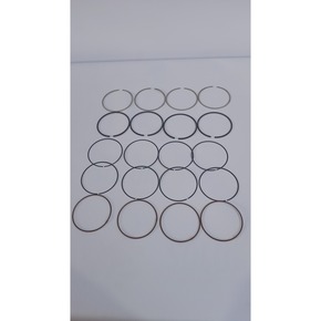 Nunc congue dui nec...