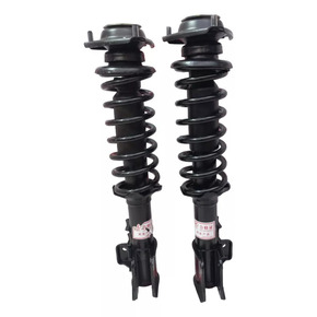 Nunc congue dui nec...