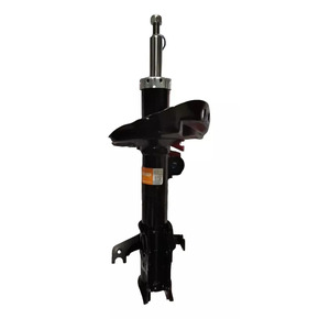 Nunc congue dui nec...