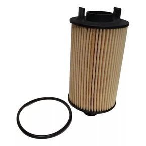 Nunc congue dui nec...