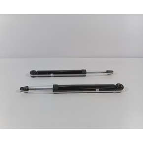 Nunc congue dui nec...