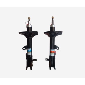 Nunc congue dui nec...