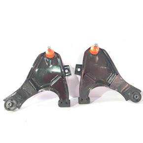 Nunc congue dui nec...