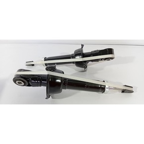 Nunc congue dui nec...