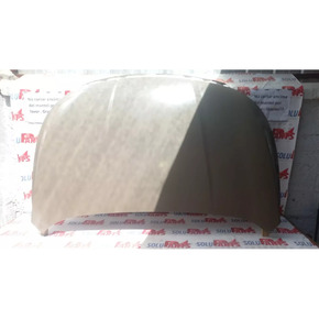 Nunc congue dui nec...