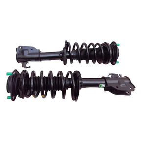 Nunc congue dui nec...