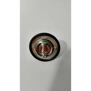 Nunc congue dui nec...