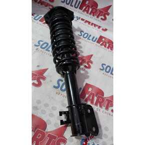 Nunc congue dui nec...