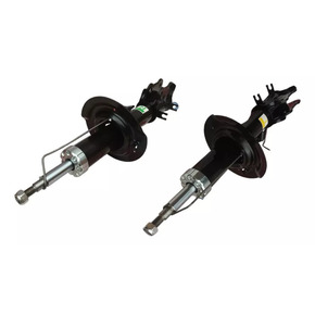 Nunc congue dui nec...