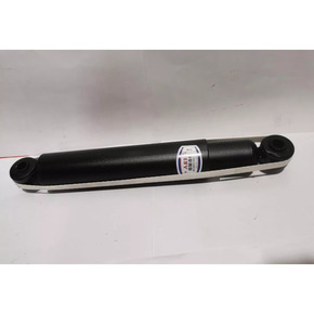 Nunc congue dui nec...