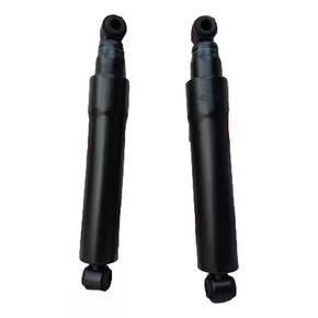 Nunc congue dui nec...