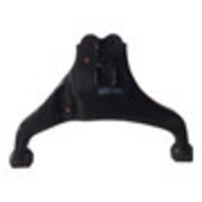 Nunc congue dui nec...