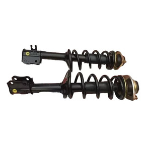 Nunc congue dui nec...