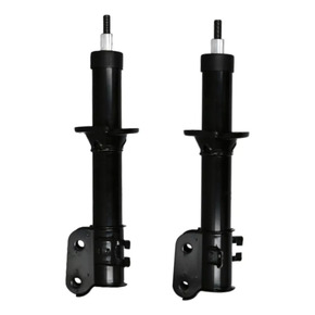 Nunc congue dui nec...