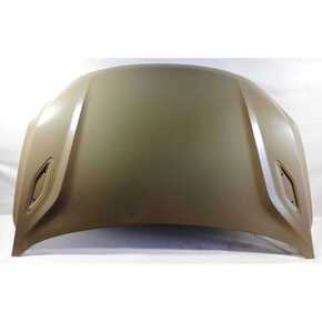 Nunc congue dui nec...