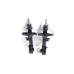 Nunc congue dui nec...