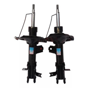 Nunc congue dui nec...