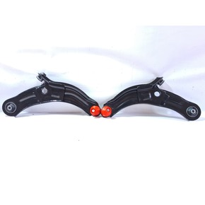 Nunc congue dui nec...