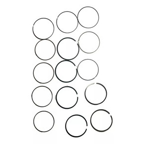 Nunc congue dui nec...