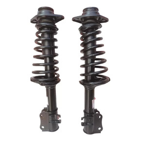 Nunc congue dui nec...