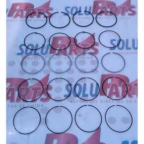 Nunc congue dui nec...