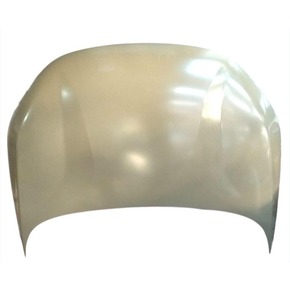 Nunc congue dui nec...