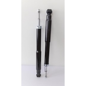 Nunc congue dui nec...